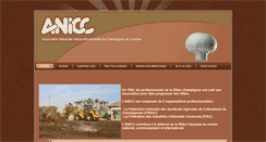 Desktop Screenshot of anicc.com
