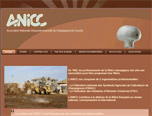 Tablet Screenshot of anicc.com